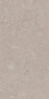 Heritage GREY 30X60 R10 RT