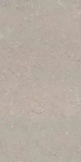 Heritage GREY 60X120 R10 RT