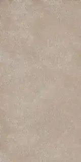 Geo WALNUT 30X60 R9 RT