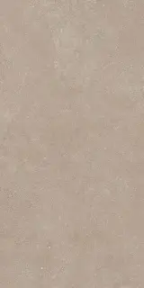 Geo WALNUT 30X60 R11 RT