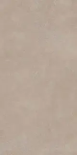 Geo WALNUT 60X120 R10 RT