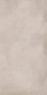 Geo SILVER 60X120 R10 RT