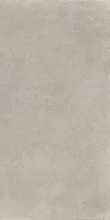 District SILVER 60X120 R10 RT