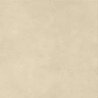 Boost Natural Pro Oat 60x60 - 20mm