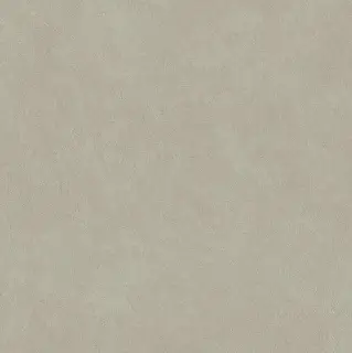 Boost Natural Pro Dove 60x60