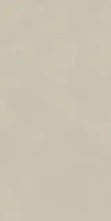 Boost Natural Pro Cinder 60x120