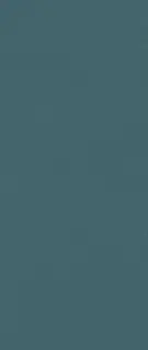 Boost Color Navy Frog 50x120