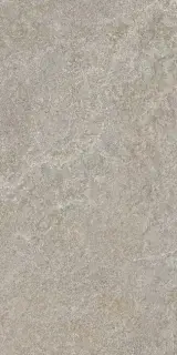 Arke Grey 30X60 R11 RT