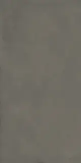 Plate Anthracite 60X120 R9 RT