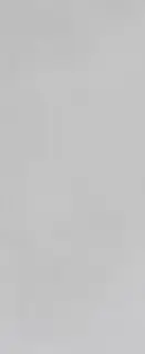 MILANO MOOD 50X120 PERLA MATT