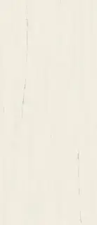 Marvel Bianco Dolomite 120x278 Matt