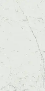 Marvel Carrara Pure 60x120