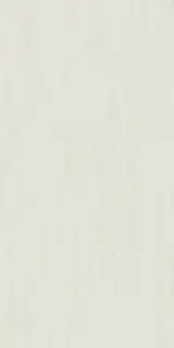 Marvel Bianco Dolomite 120x240 Lappato