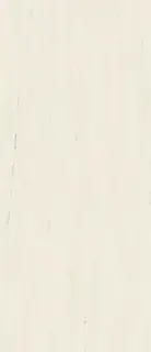 Marvel Bianco Dolomite 120x278 Lappato