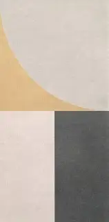 FAP MURALS 80X160 TEXTURE MACRO