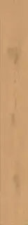 Entice Pale Oak Natural 18,5x150