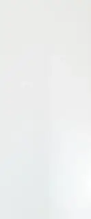 Solid White Glossy 50x120