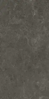 Nyra Charcoal 60x120