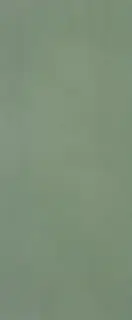 MATERIA BRILLANTE 50X120 BOSCO BRILLANTE