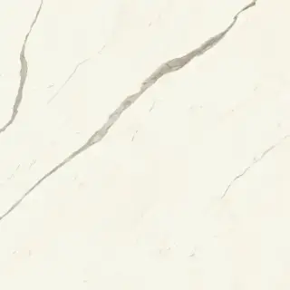 Marvel Calacatta Sublime 120x120 Silk