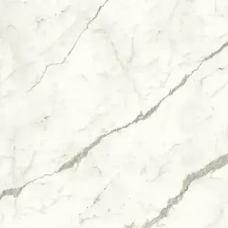 Marvel Statuario Supremo 120x120 Matt