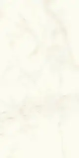 Marvel Calacatta Delicato 60x120 Matt