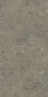 Marvel Meraviglia Grigio Elegante 60x120 Lapp.