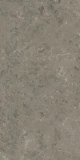 Marvel Meraviglia Grigio Elegante 60x120