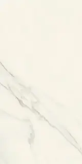 Marvel Meraviglia Calacatta Meraviglia 60x120