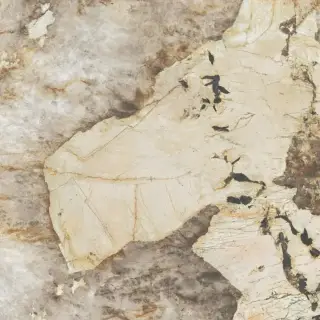 Marvel Desert Soul 120x120 Lappato