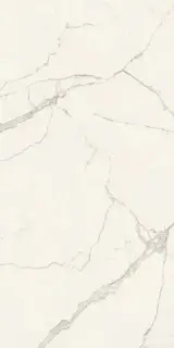 Calacatta Extra Silk 160x320