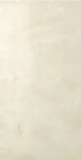 Marvel Champagne Onyx 29,5x59 Lappato