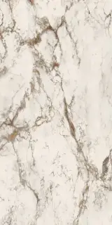 INTERNO4 Breccia Tortona 60X120 NAT