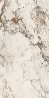 INTERNO4 Breccia Tortona 60X120 Lappato