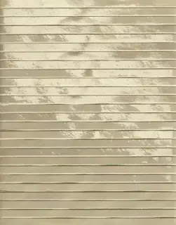 GLIM TORTORA TRATTI MOSAICO BRILLANTE