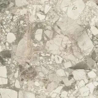 Forte Dei Marmi Ceppo Apuano Cream Rett 80x80