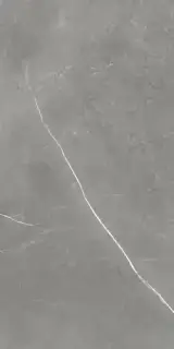 Forte Dei Marmi Elegant Grey Rett 60x120 Cerato