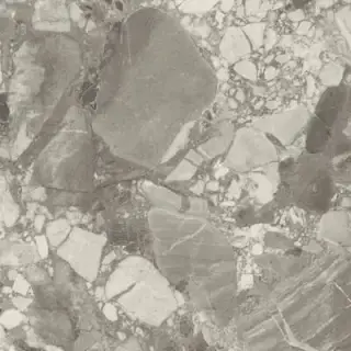 Forte Dei Marmi Ceppo Apuano Pearl 80x80 Lapp