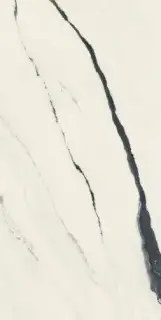 Forte Dei Marmi Panda White 80x160 Lapp