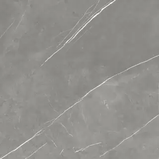 Forte Dei Marmi Elegant Grey Rett 120x120