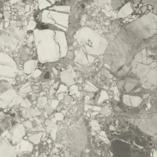 Forte Dei Marmi Ceppo Apuano Pearl Rett 120x120