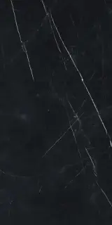 Forte Dei Marmi Elegant Black Rett 60x120 Cerato