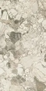 Forte Dei Marmi Ceppo Apuano Cream Rett 80x160