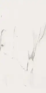 Elements Lux Lincoln 60X120 Lappato