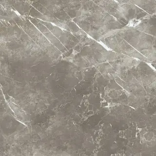 Elements Lux Persian Grey SILK 120X120