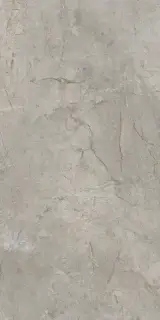 Elements Lux Silver Grey 60X120 Lappato