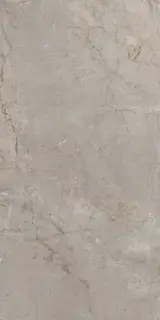 Elements Lux Silver Grey 60X120 NAT