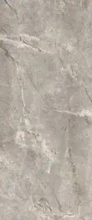 Elements Lux Silver Grey 120X278 Lappato