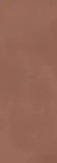 Calce Terracotta 100х300 3+