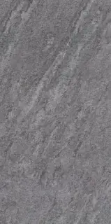 Brave Grey 60x120 20mm